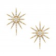 18K Yellow Gold Diamond Earrings